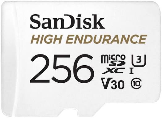 SanDisk High Endurance 256GB
