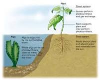 Image result