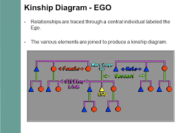 chapter 10 kinship and descent ppt video online download