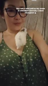 いたずらバニー ミラ