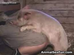 Printemps du carla / 5 262 vuesil y a 2 mois enculée avant de se faire gaver de sperme de cheval. Zoophilia Takes Place With A Pig Luxuretv