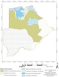 Image result for Sporobolus bechuanicus