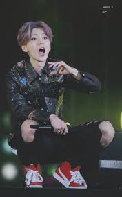 Exo Panosundaki Pin