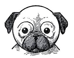 Learn how to draw kids print pictures using these outlines or print just for coloring. How To Draw A Dog Pug Dachshund Etc The Graphics Fairy