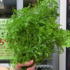 店舗販売 無農薬 有機にんじんの葉っぱ 100ｇ