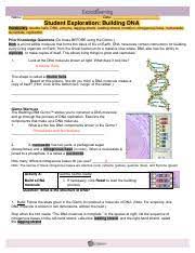 This can be relevant to student exploration building dna gizmo answer key. Building Dna Gizmo Completed Docx Name Date Student Exploration Building Dna Vocabulary Double Helix Dna Enzyme Mutation Nitrogenous Base Nucleoside Course Hero