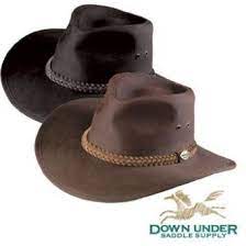 Pin On Equine