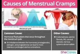Bagi anda yang ada tumor fibroid/kulit berlebih di tubuh, begini cara menghilangkannya tumor fibroid sebagian besar terjadi pada orang paruh baya pada daerah leher, ketiak, perut, bawah payudara, kelopak mata dan bagian tubuh lainnya. Setia Kangen Water Bali Dan Sakit Saat Haid Mentrual Cramps Setia Kangen Water Bali Plus Trace Mineral