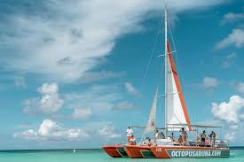 Check spelling or type a new query. Octopus The Private Boat From Aruba 2021