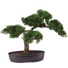 Silk decor trailing cedar bonsai plant, green. Cedar Bonsai Tree 16 In Silk Specialties