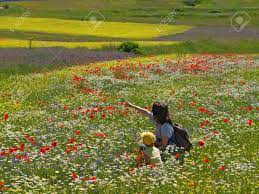 Explore other popular hidden gems near you from over 7 million businesses with over 142 million reviews and opinions from yelpers. Woman And Child In A Field Full Of Flowers Stock Photo Picture And Royalty Free Image Image 3711099