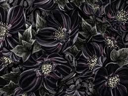 Personalization is being a huge trend. White Floral Designs Themes Templates And Downloadable Graphic Elements On Dribbble