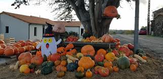 Fruits Legumes Nantes Local Business Saint Julien De Concelles 27 Photos Facebook