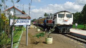 Andersen swan wild, the snow queen. Sejarah Glenmore Jejak Eropa Yang Tersembunyi Di Banyuwangi