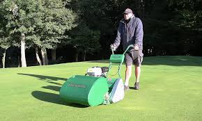 Dennis is the leading british manufacturer of innovative professional fine turf maintenance. Fab 4 For Dennis Sisis At Btme