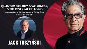 You Are the Universe Revisited with Tim Ventura