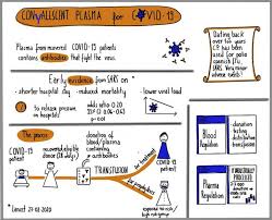 Image result for Plasma Transfusion