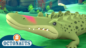In other words, they live all continents except europe and antarctica. Octonauts The Saltwater Crocodile Cartoons For Kids Underwater Sea Education Youtube