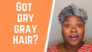 SILVER SISTER INTERVIEW