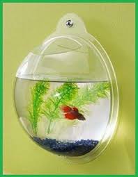 Belanja Online Termurah 2018 Belanja Online Terpercaya Dan Termurah 2018 Bubble Wall Fish Bowl Teenage Girl Room