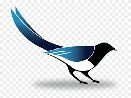 Please use and share these clipart pictures with your friends. Magpie Clipart Transparent Png Magpie Free Transparent Png Clipart Images Download