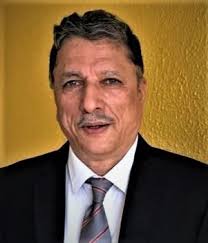 Biographical novelist