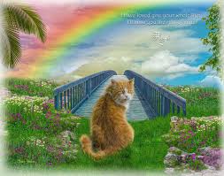  Rainbow Bridge Pet Memorial Portrait Painting Bright And Colorful Portrait Scene Of A Beloved Pet Just Rainbow Bridge Rainbow Bridge Cat Custom Pet Portraits