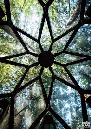 Une Incroyable Cabane Vitree Dans Les Arbres En Forme De Pomme De Pin A Louer Ou A Acheter Planete Deco A Homes World Pomme De Pin Cabane Maisonnette Jardin
