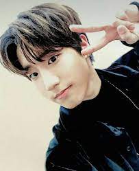 Позиция в группе into stray kids ☪? Han Stray Kids Wiki Fandom