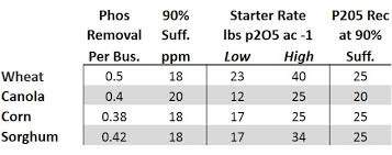 Image result for Phosphorus Replacement