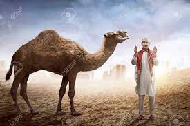 Download this premium vector about ramadan illustration with praying man and camels, and discover more than 10 million professional graphic resources on freepik. Image Of Man Praying And Camel With Desert Background Stock Photo Picture And Royalty Free Image Image 58887291