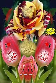 Collection by syeda sehrish shah. Pin By Ø§Ù„Ø³Ù…Ø¹ Ø§Ù„Ø¨ØµÙŠØ± Ø³Ø¹Ø¯Ù„ On Mother Pearl Allah Wallpaper Islamic Images Flowers