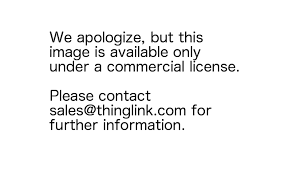 We did not find results for: Thinglink Cell Analogy Project