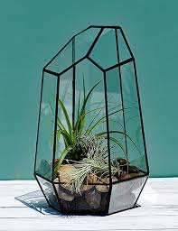 The Spire Geometric Terrarium Make A Great Showcase For Your Plants It Really Pops And Adds An Impact To Any Geometric Terrarium Terrarium Terrarium For Sale