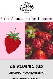 Est Ce Qu Il Est Vrai Qu En Espagnol Vous Avez Seulement Besoin D Ajouter Un S A Un Nom Singulier Pour Le Mettre Au Pluriel Learning Spanish Plurals Nouns