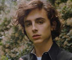 Timothée Chalamet Biography - Facts, Childhood, Family Life & Achievements  of Actor