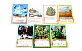 Maybe you would like to learn more about one of these? Review Of Ecologies Animal Card Game By Matthew Montrose
