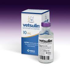 Very pleased with how my cat has responded to this 12 hour insulin. Insights Into Veterinary Endocrinology What S The Best Insulin For Diabetic Cats And Dogs