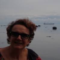 30+ "Lecot" profiles