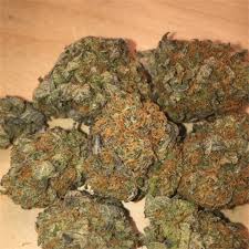 Discover pink champagne weed and read reviews of the effects and feelings cannabis consumers report from this marijuana strain. Everything You Need To Know About The Pink Berry Strain 420dc