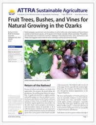 Southwest Michigan Fruit Update - July 10, 2018 - Fruit & Nuts