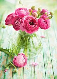 Maybe you would like to learn more about one of these? The Best Time To Plant Spring Flowers Anenomes And Ranunculus