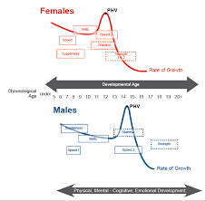 What Is The American Development Model