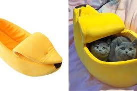 Hot promotions in banana cat bed on aliexpress if you're still in two minds about banana cat bed and are thinking about choosing a similar product, aliexpress is a great place to compare prices and sellers. 40 People Share Hilarious I Don T Own A Cat Moments And They Re Pure Gold