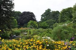 In die schauhäuser bitte keine hunde mitnehmen. Botanischer Garten Wuppertal
