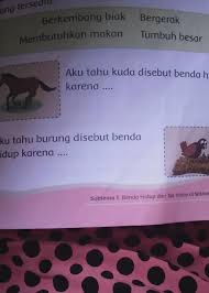 Aku Tahu Kuda Disebut Benda Hidup Karena Ilmusosial Id