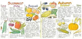 Uk Seasonal Fruit And Vegetable Chart The Vegan Society