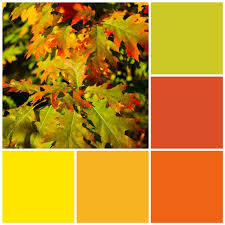 12 Fall Color Palettes For Your Kitchen Sheknows