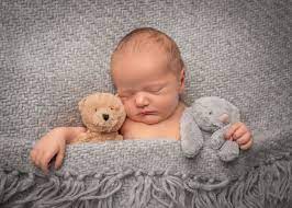 Newborn Baby Sleeping Under Grey Blanket With Two Stuffed Animals Baby Sleep Newborn Baby Sleep Baby Photoshoot