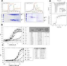 Alerts are great to be notified about most recent jobs you are interested in. Elucidation Of The Anti Autophagy Mechanism Of The Legionella Effector Ravz Using Semisynthetic Lc3 Proteins Elife